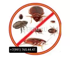 Дезинфекция кызматы клоп таракан даарылайбыз - 1