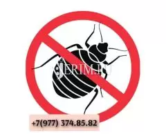 Дезинфекция кызматы клоп таракан даарылайбыз - 1
